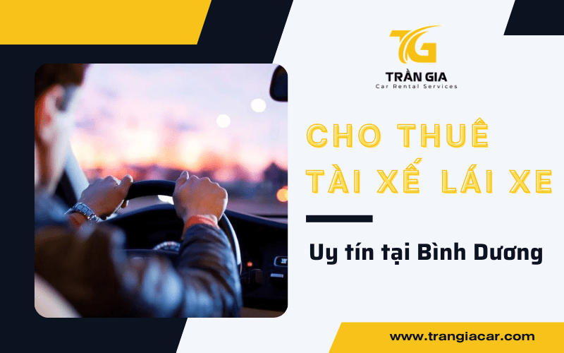 cho thuê tài xế lái xe