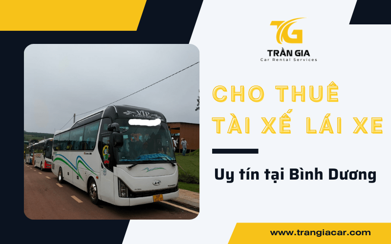 cho thuê tài xế lái xe